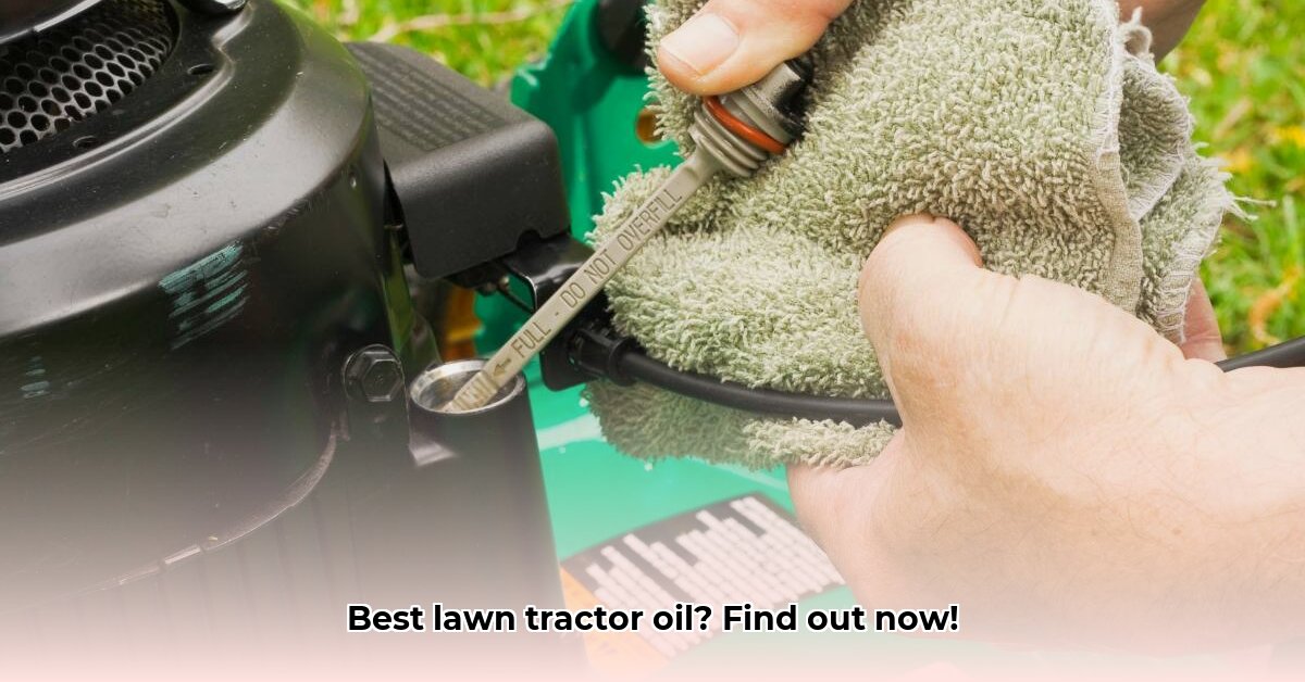 lawn-tractor-motor-oil